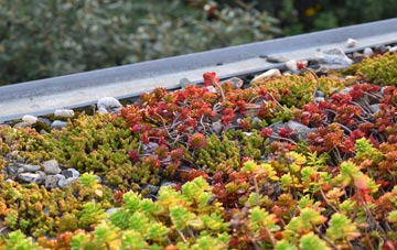 the cost of Little Kineton green roof installation