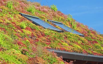 Little Kineton living roof systems