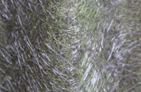 Little Kineton fibreglass roof work